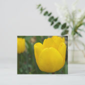 Carte Postale Fermer et personnel (Debout devant)