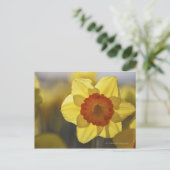 Carte Postale Fermer une jonquille jaune/orange (Debout devant)