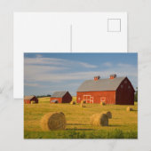 Carte Postale Fermes | Barres rouges près de balles de foin (Devant / Derrière)