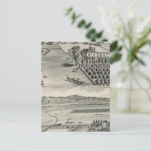 Carte Postale Fermes, Capay Valley, Madison (Debout devant)