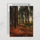 Carte Postale Fermes d'automne (Devant / Derrière)