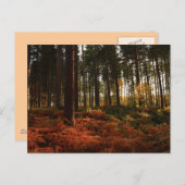 Carte Postale Fermes d'automne (Devant / Derrière)