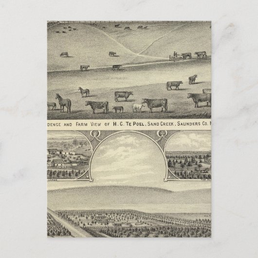 Carte Postale Fermes du comté de Saunders, Nebraska (Devant)