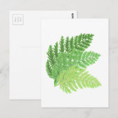 Carte Postale Fermes forestières vertes de forêt de bois fougère (Devant / Derrière)