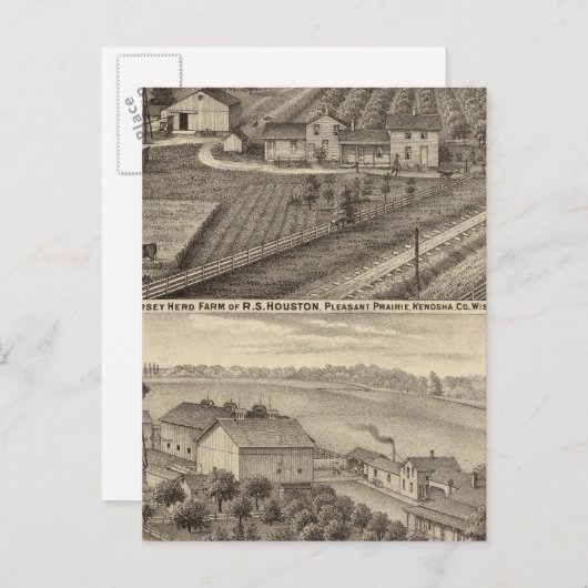 Carte Postale Fermes laitières de RS Houston et WC White (Devant / Derrière)