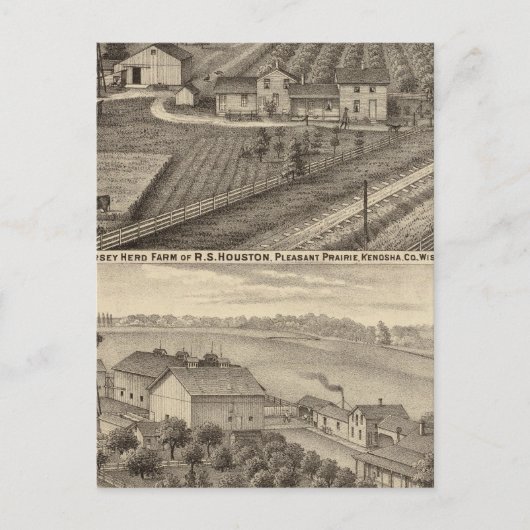 Carte Postale Fermes laitières de RS Houston et WC White (Devant)