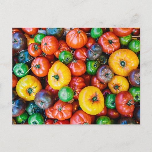 Carte Postale Fermes | Récolte colorée de tomates (Devant)