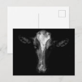 Carte Postale Fermes | Tête de vache B&W (Devant / Derrière)