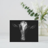 Carte Postale Fermes | Tête de vache B&W (Debout devant)