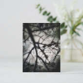 Carte Postale Fermeture (Debout devant)