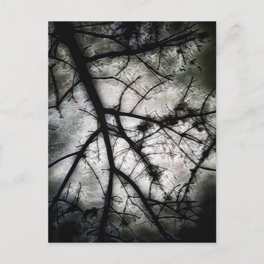 Carte Postale Fermeture (Devant)