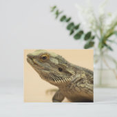 Carte Postale Fermeture centrale de Lizard (Debout devant)