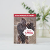 Carte Postale Fermeture De La Prison De Gorilla Pendant L'Abri E (Debout devant)