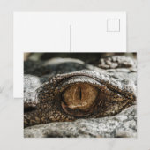CARTE POSTALE FERMETURE DE L'OEIL ALLIGATOR (Devant / Derrière)