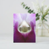 Carte Postale fermeture de Orchid Flower (Debout devant)