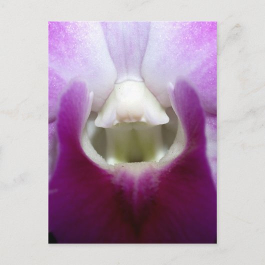 Carte Postale fermeture de Orchid Flower (Devant)