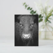 CARTE POSTALE FERMETURE DE VACHE - NOIR ET BLANC (Debout devant)