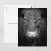 CARTE POSTALE FERMETURE DE VACHE - NOIR ET BLANC (Devant / Derrière)