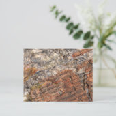 Carte Postale Fermeture du journal pétrifié I (Debout devant)