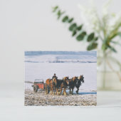Carte Postale Fermier Amish Sur Spreader-Postcard-2 (Debout devant)