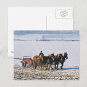 Carte Postale Fermier Amish Sur Spreader-Postcard-2 (Devant / Derrière)