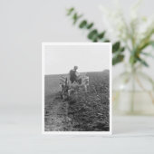 Carte Postale Fermier Avec Tracteur (Debout devant)