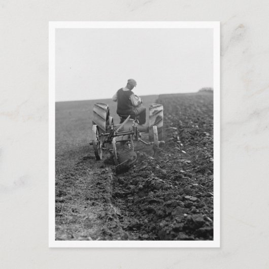 Carte Postale Fermier Avec Tracteur (Devant)