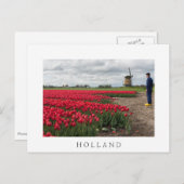 Carte Postale Fermier inspectant ses tulipes et son moulin à ven (Devant / Derrière)