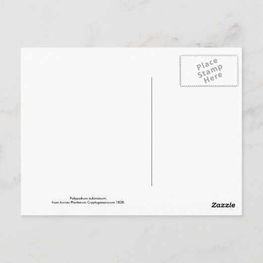 Carte Postale Fern (Dos)