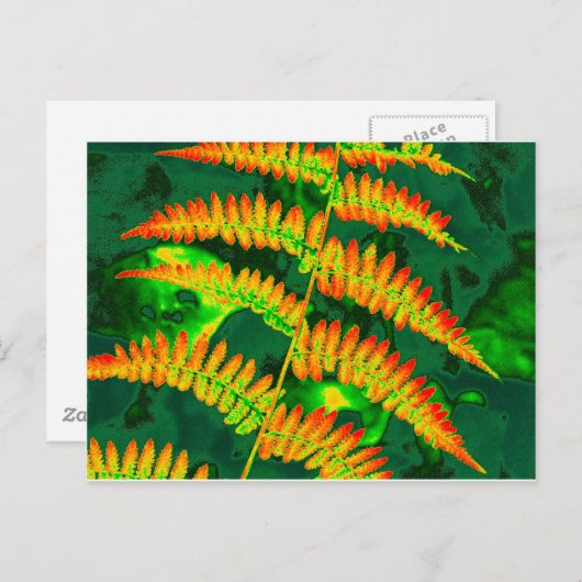 Carte Postale Fern (Devant / Derrière)