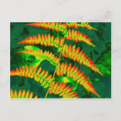 Carte Postale Fern (Devant)