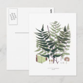 Carte Postale Fern (Devant / Derrière)