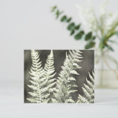 Carte Postale Fern Artistic Abstrait (Debout devant)