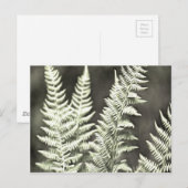 Carte Postale Fern Artistic Abstrait (Devant / Derrière)