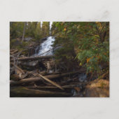 Carte Postale Fern Falls au parc national Rocky Mountain (Devant)