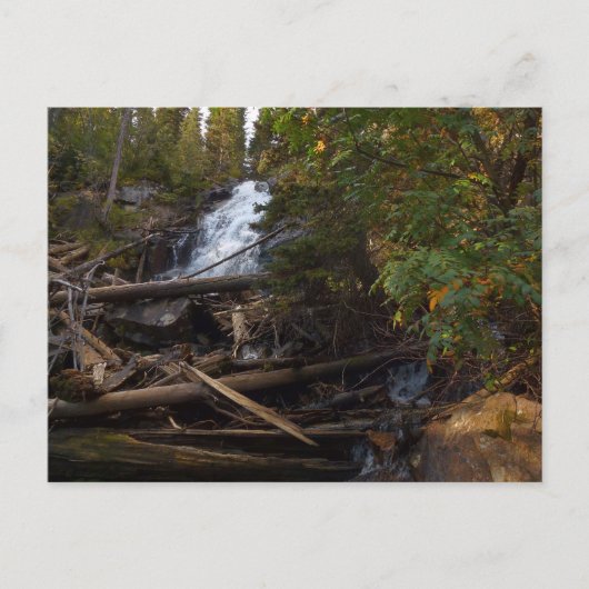 Carte Postale Fern Falls au parc national Rocky Mountain (Devant)