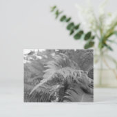 Carte Postale Fern Friendly (Debout devant)