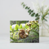 Carte Postale Fern Frond (Debout devant)