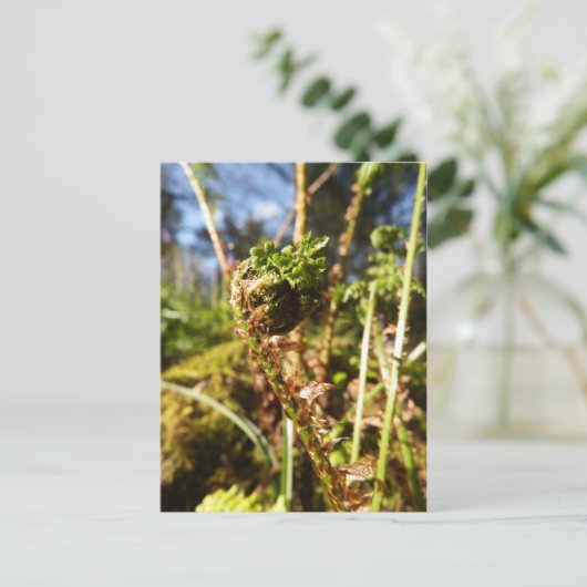 Carte postale Fern Frond (Debout devant)