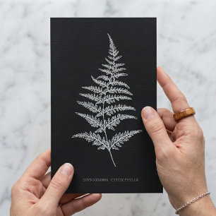 Carte Postale Fern - Gymnogramma Chrysophylla. Effet de rayons X