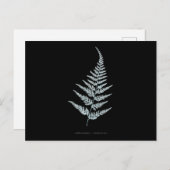 Carte Postale Fern - Gymnogramma L’herminieri. Effet de rayons X (Devant / Derrière)