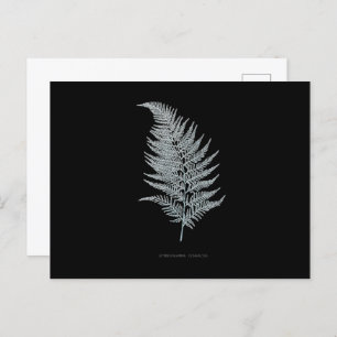 Carte Postale Fern - Gymnogramma Ochracea - Effet rayons X - 02