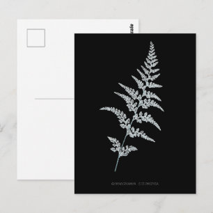 Carte Postale Fern - Gymnogramma Sulphurée - Effet de rayons X -