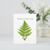 Carte Postale Fern Signification (Debout devant)