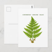 Carte Postale Fern Signification (Devant / Derrière)