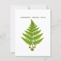 Fern Signification