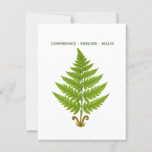 Carte Postale Fern Signification