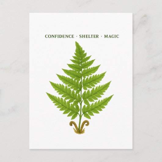 Carte Postale Fern Signification (Devant)