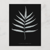 Carte Postale Ferne - Polypodyum Grandidens - Effet de rayons X (Devant)