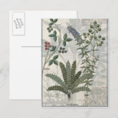 Carte Postale Ferns, Brambles et Fleurs (Devant / Derrière)